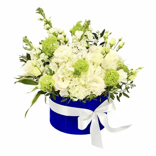Royal White
