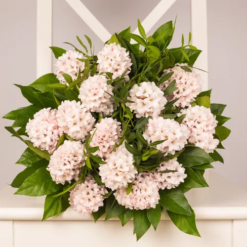 Buchet 15 zambile roz Pal