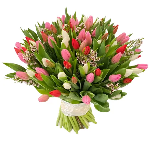 Buchet 61 lalele si wax