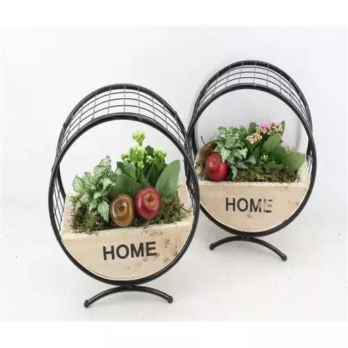 Aranjament plante Home 